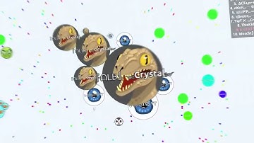 AGARIO - TRICKSPLIT BAIT SPLITRUN