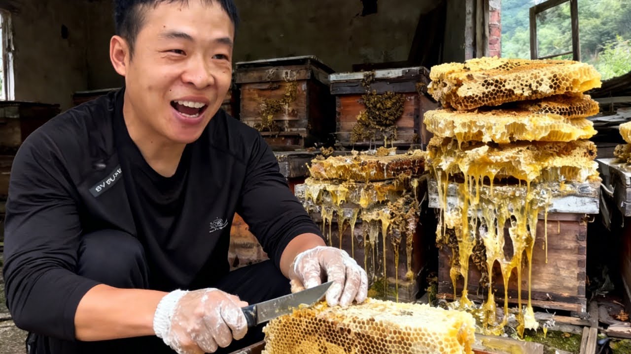 小成哥上山开盲盒，户外诱蜂箱爆箱，野生蜂蜜切到手软【蜂狂小成哥】