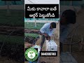 Bulk order packing process 👇" #agriculture#formerslife#tomatoforming#nurserylife#andraformers