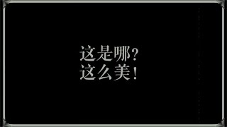 济南半夜排队的把子肉，只晚上10点开门！一块肉6元，顾客坐满屋
