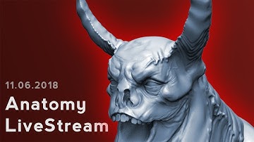 Anatomy and Creature Extravaganza!! Livestream 11.06.2018