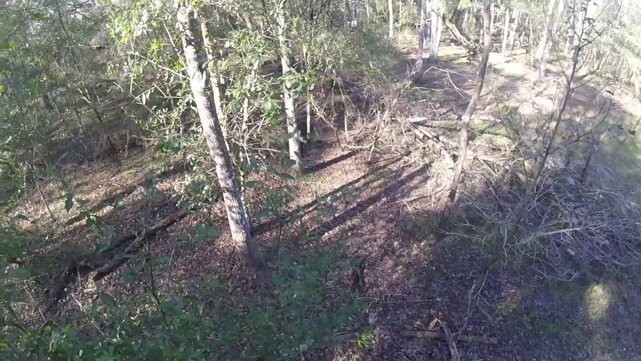 full speed deer kill