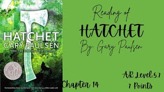 Hatchet Chapter 14