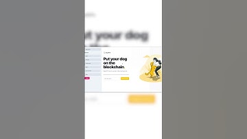 Mixo: la herramienta de IA que crea sitios web personalizados en cuestión de segundos