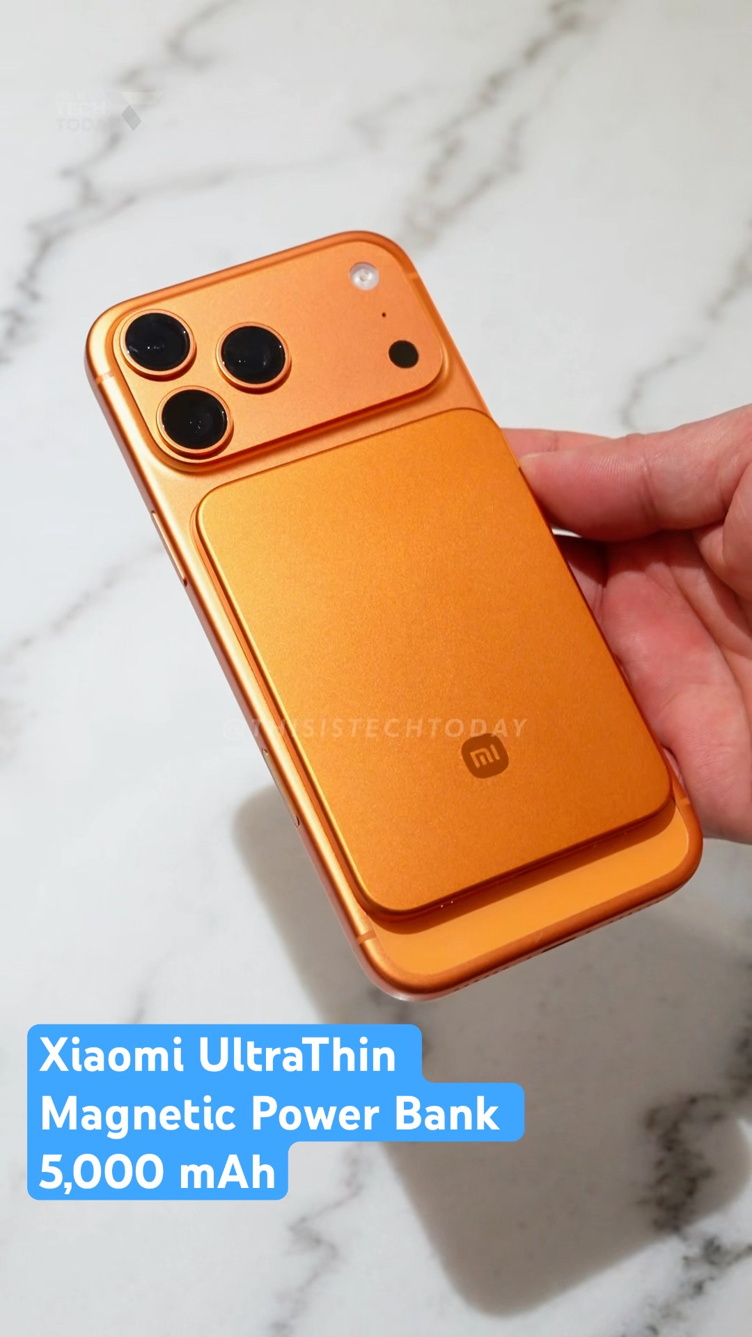 美術品・アンティーク・コレクション ヴィンテージ ブルーピーコック