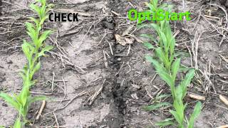 CompleteU™ – Starter Fertilizer