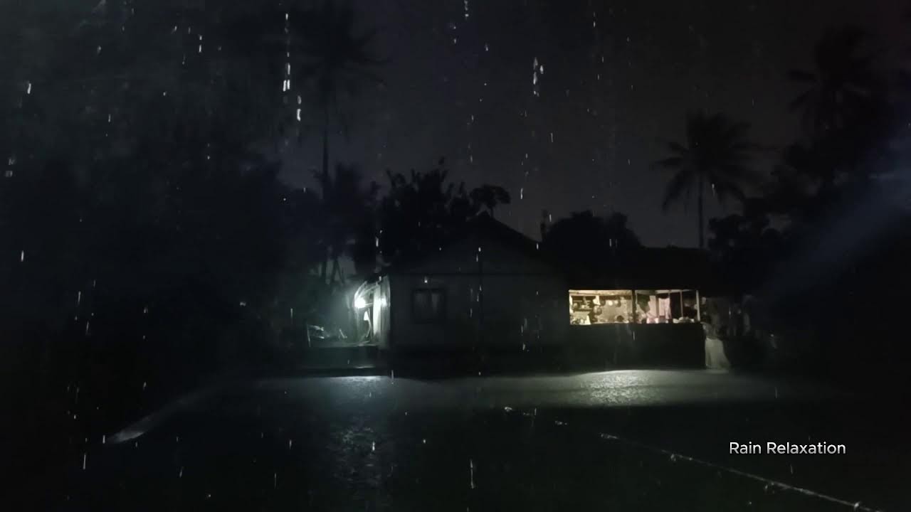 Rain Sounds for Sleeping - Sound of Heavy Rainstorm & Thunder in the Misty Forest At Night