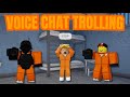 Trolling in Roblox Voice Chat | Cell Mates ft: Mr crimson