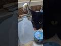 Max Loves a Slow Drip Fountain- Funny Water Licking