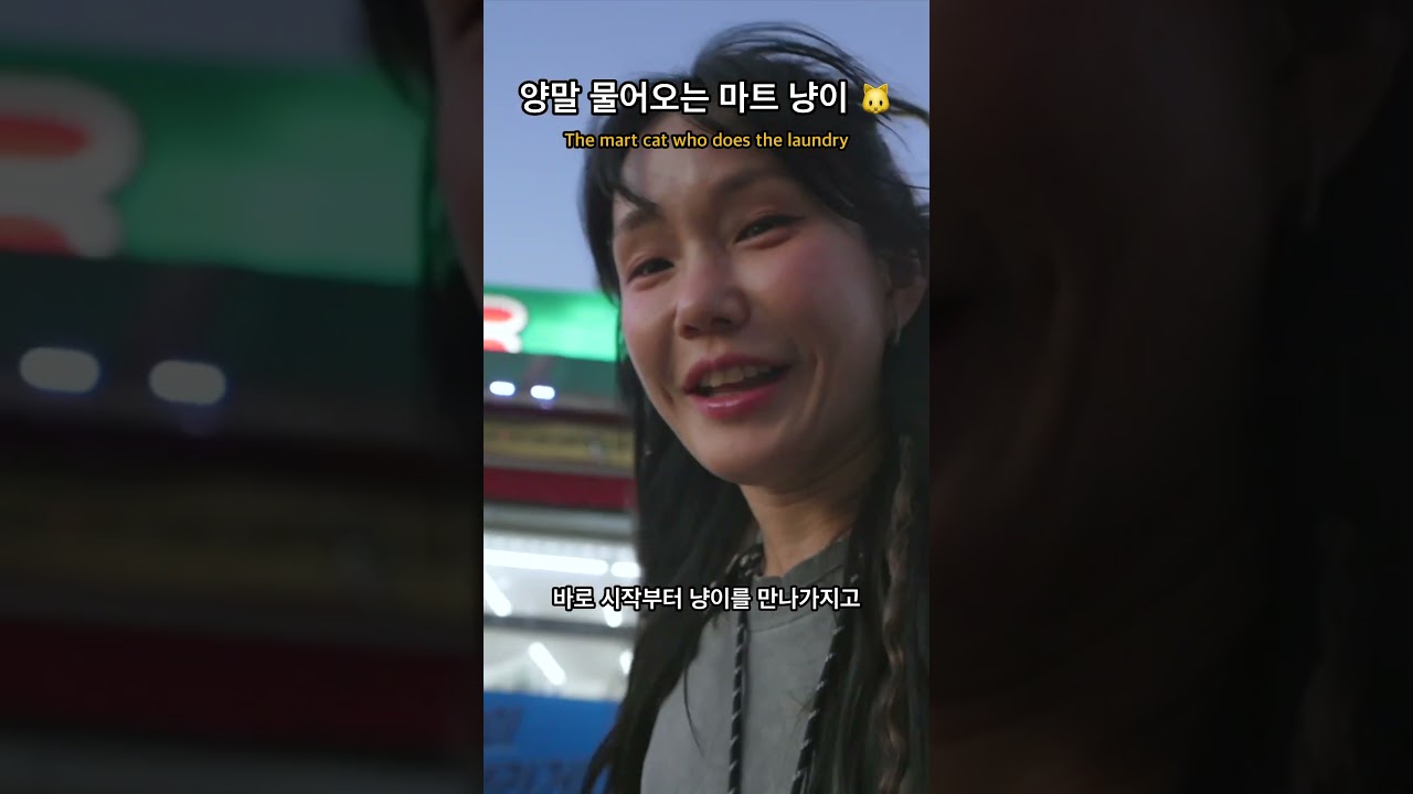 양말 물어다 세탁기에 넣는 마트 냥이 🐱 #고양이 #차박