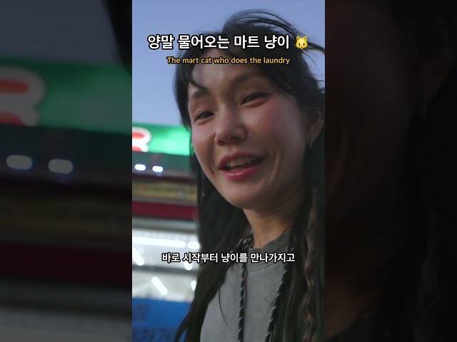 양말 물어다 세탁기에 넣는 마트 냥이 ???? #고양이 #차박