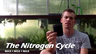 How to Cycle Your Aquarium- Nitrogen Cycle in an Aquarium. Bacteria for the Nitrogen Cycle