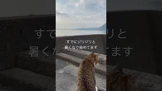 2026年7月16日