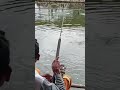 Harapan palsu!