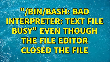 "/bin/bash: bad interpreter: Text file busy" even though the file editor closed the file