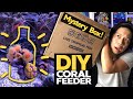 Unboxing Mystery Corals & DIY Coral Feeding Shield!! 🤓