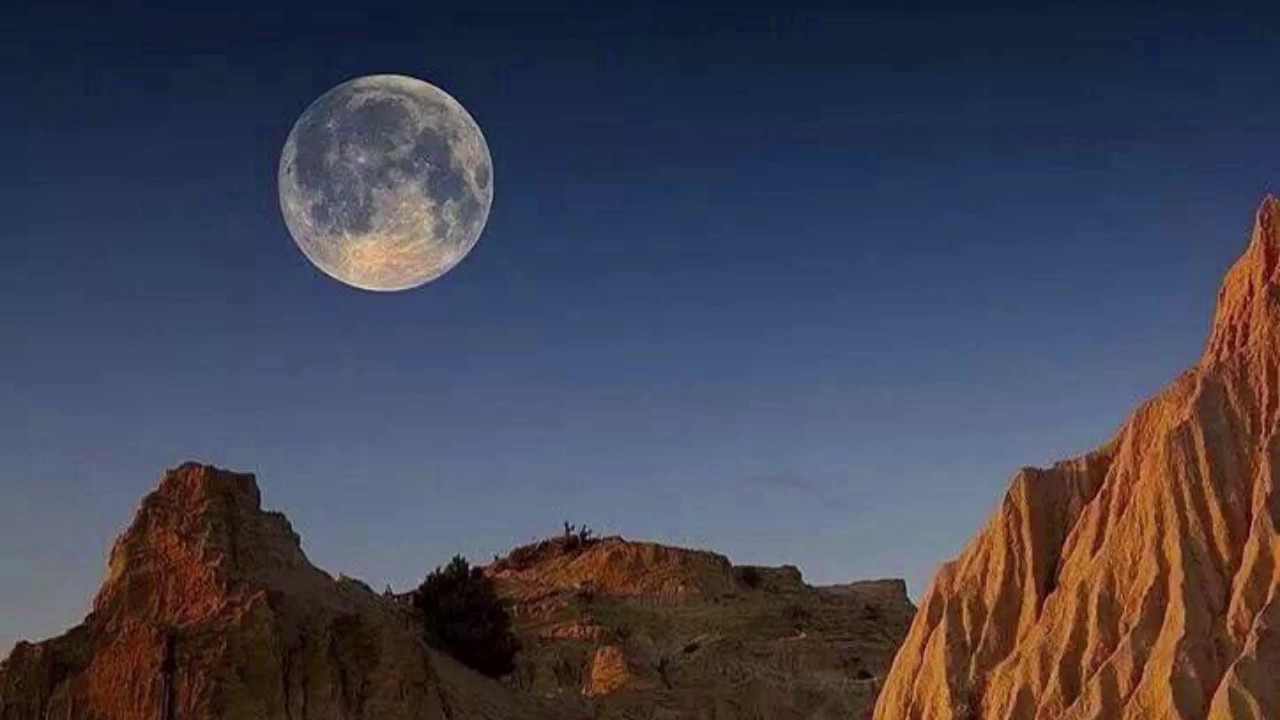 قصيدة المسيب بن علس: أَرَحَلْتَ مِن سَلْمَى بغير مَتَاعِ