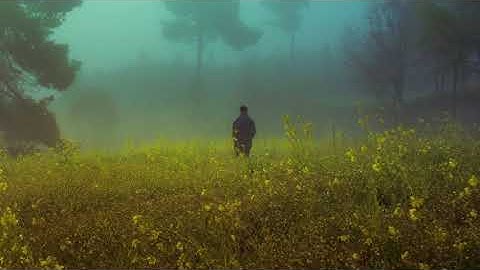 الشيخ أبو بكر الشاطرى | تلاوة تعطى السكينة لسورة فصلت