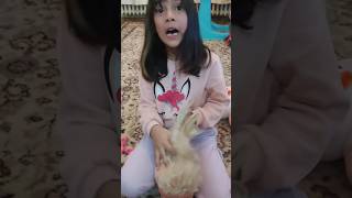 Umay Bebeğinin Saçını Naptın