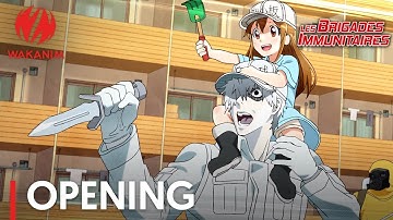 Les Brigades Immunitaires | Opening (générique)