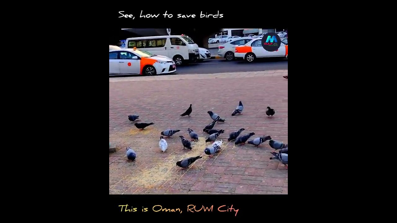 This is Oman RUWI City|