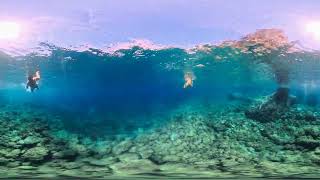 VR360 | The Most Beautiful Underwater Escape 8K