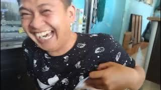 anak kucing di susui manusia #litlecat#catcute#kucinglucu