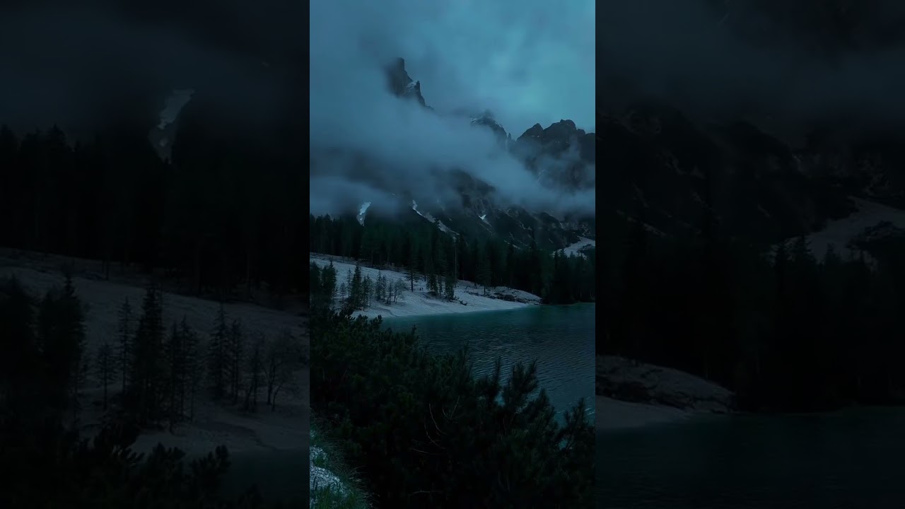 Relaxing Nature with Flowers | Short Aesthetic Vibes