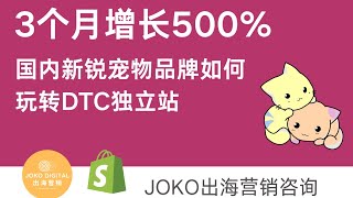 3个月增长500%！国内新锐宠物品牌如何玩转DTC独立站