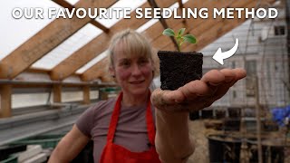 We’re starting our Seedlings! | The Avis Farm