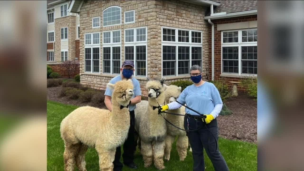 Avon nursing home is finding creative ways to boost morale YouTube