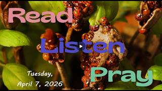 Daily Bible Moment April 7, 2026