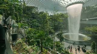🌧️ Rain Vortex – The World’s Tallest Indoor Waterfall! 🌧️