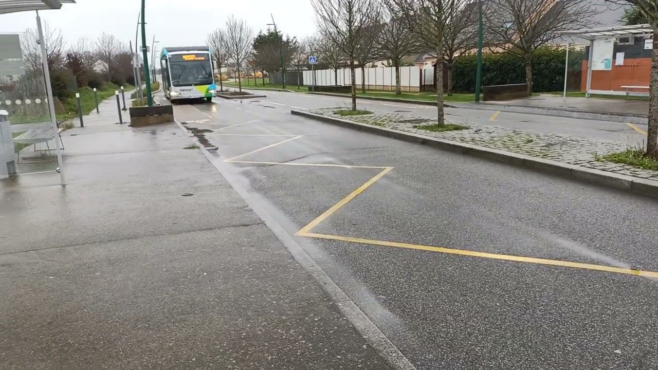 Sheldon Explica El Problema De La Mesa Del Comedor Shorts - YouTube Auto PHP Script