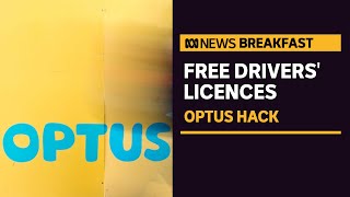 State govts promise free drivers' licence replacements to Optus customers hit by hack | ABC News