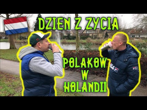 DZIEŃ Z ŻYCIA POLAKÓW W HOLANDII / ODC.  Z 23 GRUDNIA