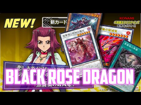 プランク・ローズ・ドラゴン ブラック・ローズ・ドラゴン】【QCAC-JP003】【シク1枚】 - メルカリ