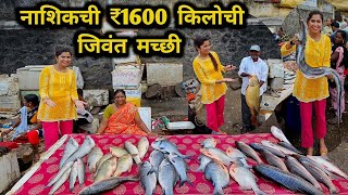 नाशिकच्या ₹1600 किलोच्या जिवंत मच्छीचा रस्सा Nashik Fish Market Crazy Foody Ranjita