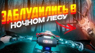 картинка: ПОКАТУШКА НА ЭНДУРИКАХ ПОШЛА НЕ ПО ПЛАНУ//Заблудились с друзьями в ночном лесу…