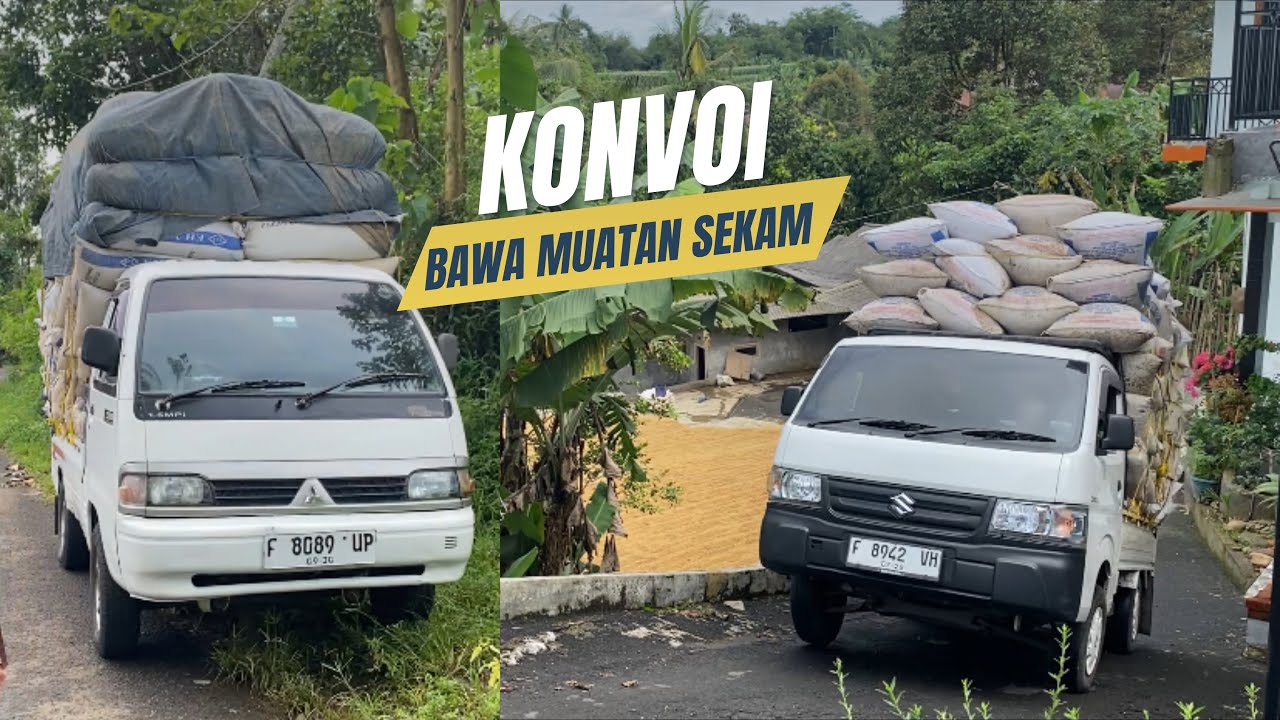 Keseruan konvoi bawa muatan sekam padi