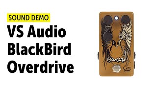 Vs Audio Blackbird Overdrive - Sound Demo No Talking