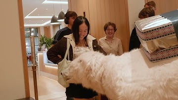 Oxford Ministry for the Future - The Arctic at the Crossroads, 5 November 2025