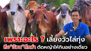 เพราะอะไร ❓เลี้ยงวัวไล่ทุ่ง ถึง”อ้วน”ดีกว่า ตัดหญ้าให้กินอย่างเดียว‼️ [ENG SUB]