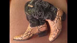 Celebrity FileMaker DevCon 2014 Tips: Better bring your boots! Wealth