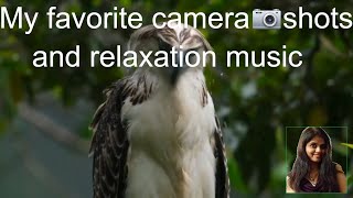 My favorite beautiful nature music for stress relief, meditation, healing and concentration