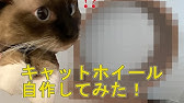 猫回し車 私はこうやって作った が そのまま粗大ゴミとなった Youtube 猫回し車 私はこうやって作った が そのまま粗大ゴミとなった Youtube