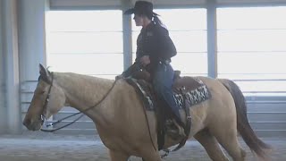 Perry County trainer finishes last at national horse competition but calls the experience a win