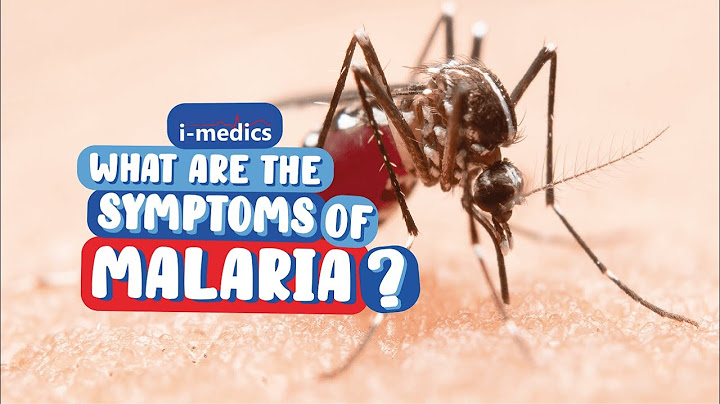 What are the Symptoms of Malaria?👨‍⚕️🩺