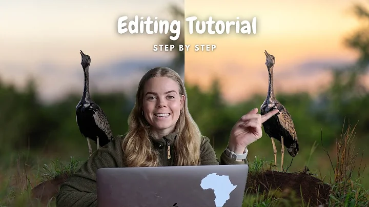 Wildlife Photography Editing Tutorial