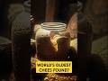 World S Oldest Cheese Found And It S DEADLY 